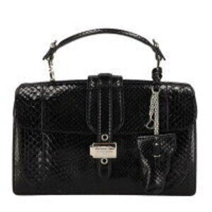 Christian Dior Python Accordion Handbag